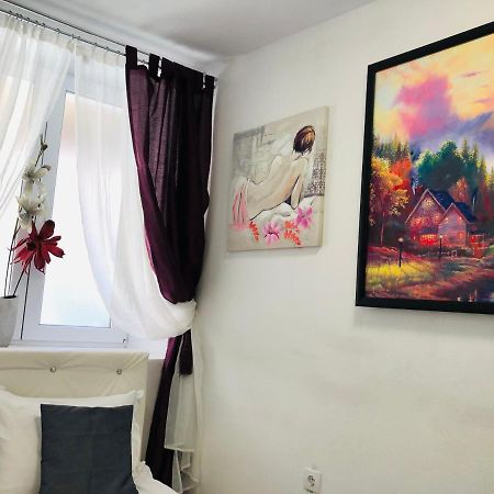 Central Petit Room Brasov Ngoại thất bức ảnh